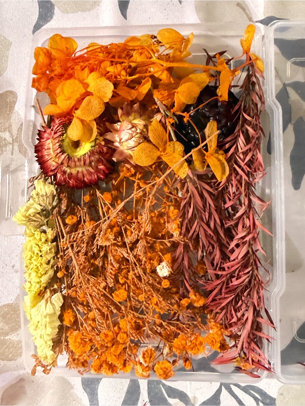 Bright Orange Dried Flower Mix - Decorative Craft Bundle - Picture 2 of 3